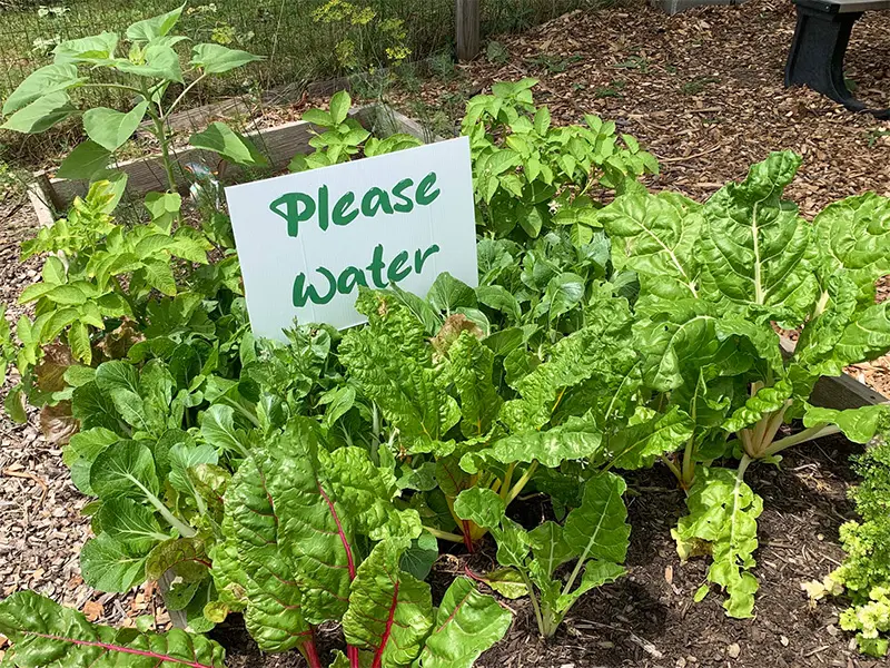 please water sign in some plants